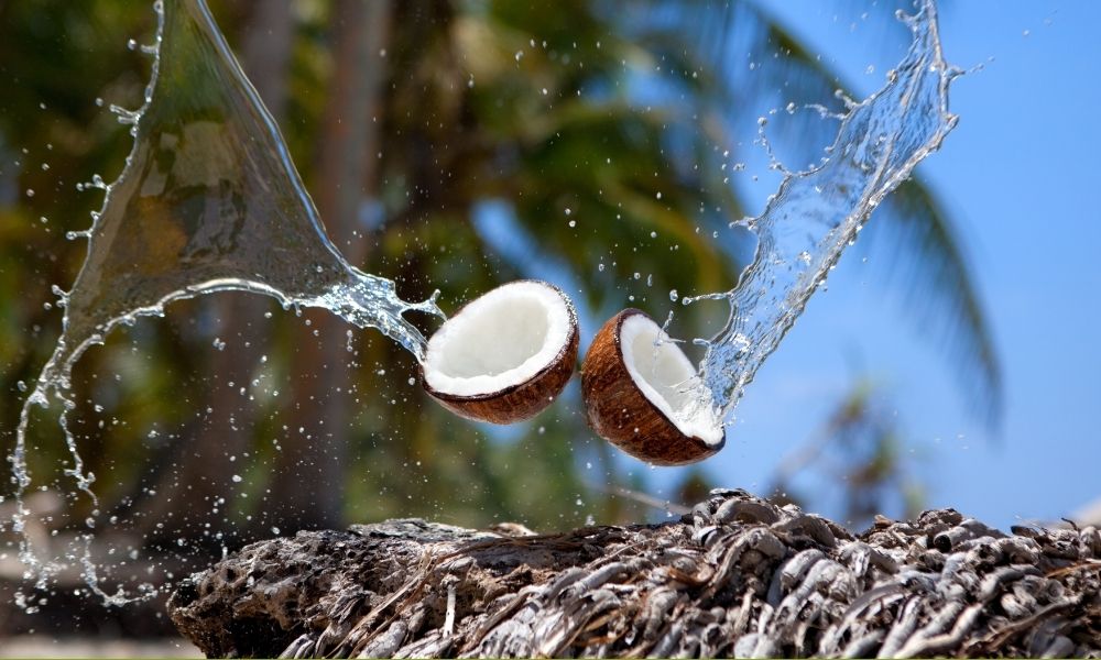 Why not build a Philippine brand of Coconut Water