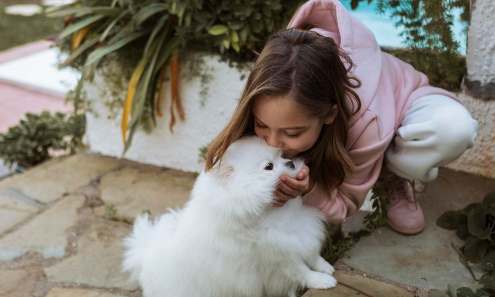 Is Perfume Safe for Pets?