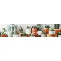 Decors | Iskaparate