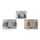 Sea Shell Stud Earrings | Our Market