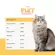 Mo and Bear Purr Delight Tuna in Jelly 155gms | Iskaparate